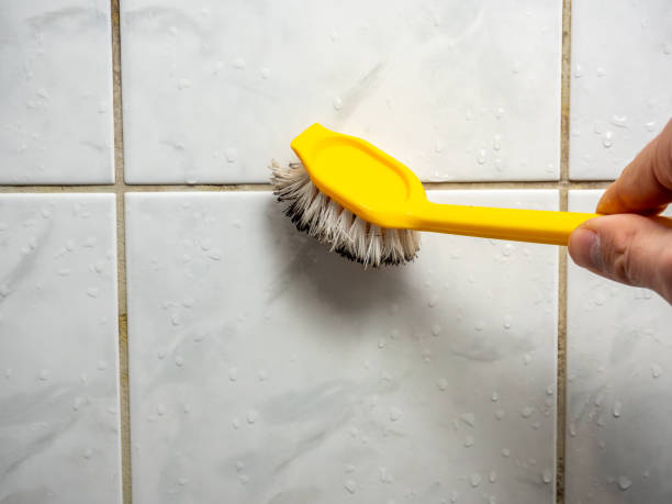 Best Mold Cleaning Services  in Badger, AK