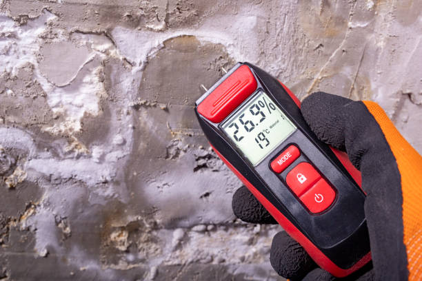 Best Residential Mold Removal  in Badger, AK