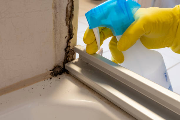 Best Crawl Space Mold Removal  in Badger, AK